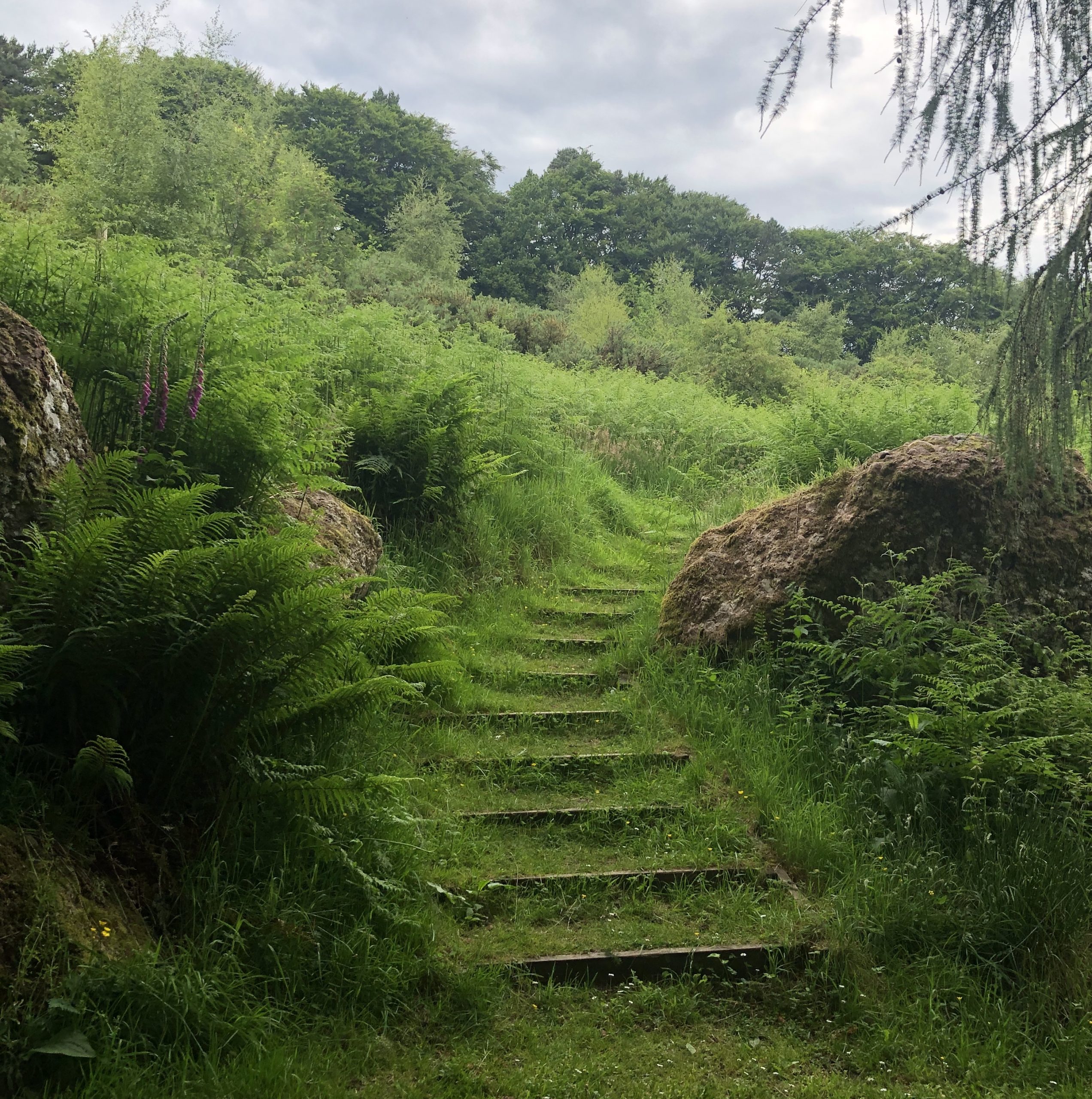 Craig Dunain Hill Great Glen Way