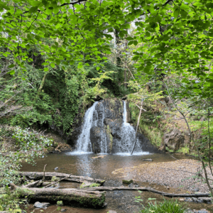 Waterfall at Fairy Glen Rosemarkie